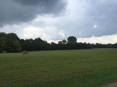 0 Harrison Ln, Shelbyville, TN 37160 - photo 6