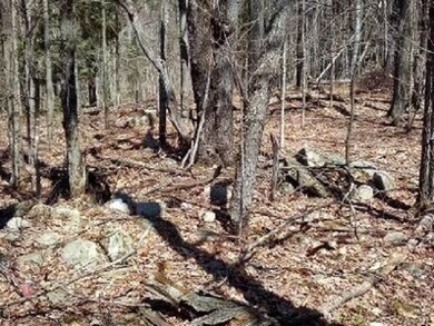 0 Redfield Rd, Barton, VT 05822 - photo 7