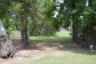 31734 Waller Tomball Rd, Waller, TX 77484 - photo 3