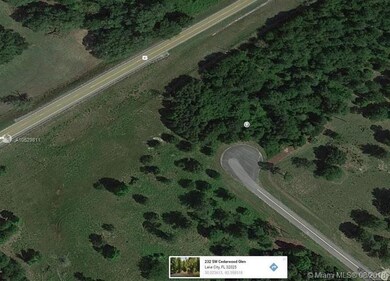 232 SW Cedarwood Glen, Lake City, FL 32025 - photo 2