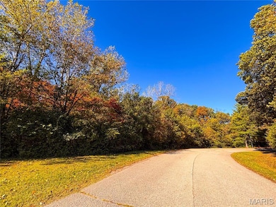 1 Manderly Place Dr, O Fallon, MO 63366 - photo 5