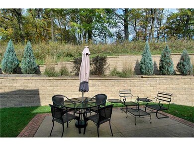 Yard/Garden.