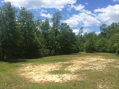 1016 W Mchenry Rd, McHenry, MS 39561 - photo 3