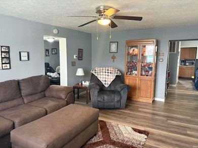 210 W Jay St, Dunkirk, IN 47336 - photo 6