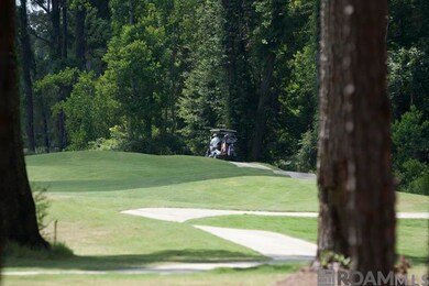 Lot 196 Geneagle Ct, Denham Springs, LA 70726 - photo 6