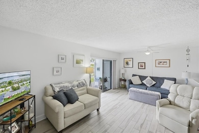 Living area featuring a textured ceiling, ceiling fan, and wood finished floors