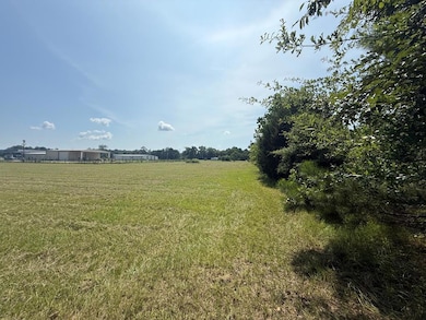 1194 U S Hwy 82-Parcel B, Georgetown, GA 39854 - photo 5