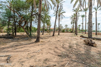 4550 N Rubicon Ave unit 1, Phoenix, AZ 85018 - photo 6