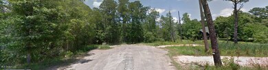 Lots 41&42 Lowtide Dr, Moss Point, MS 39562 - photo 4