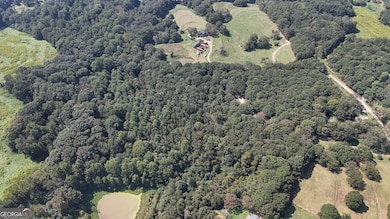 499 Aderhold Rd, Carnesville, GA 30521 - photo 7