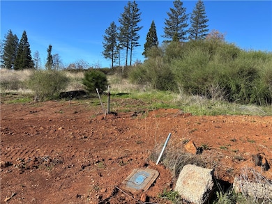 9325 Skyway, Paradise, CA 95969 - photo 2