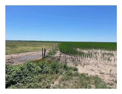 780 West Ln, Lincoln Township, KS 67653 - photo 3