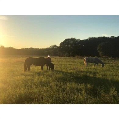 376 Private Road 4676 unit 4668, Rhome, TX 76078 - photo 5