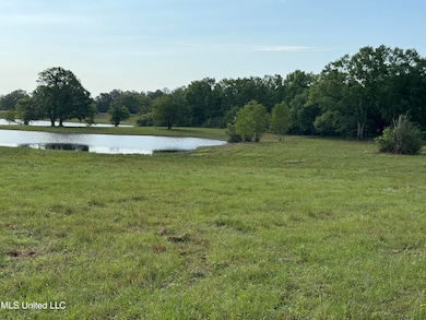 20118 Mississippi 603, Kiln, MS 39556 - photo 2