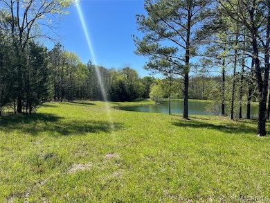 Lot 1 N Leahmon Ln, Mathews, AL 36052 - photo 6