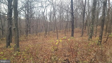 0 High View Rd unit WVHS114982, Purgitsville, WV 26852 - photo 5