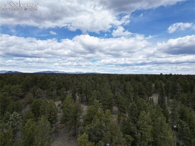 LOT 3 Highway 24, Divide, CO 80814 - photo 6