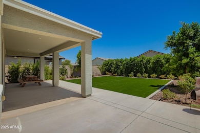 Back Patio