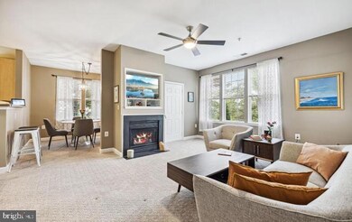 22655 Blue Elder Terrace unit 201, Ashburn, VA 20148 - photo 3