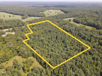 Copy of DJI_0218 (1)