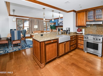 100 E Thomas Place unit 2051-week 7, Beaver Creek, CO 81620 - photo 6