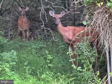3515 B Clayton Rd, Joppatowne, MD 21085 - photo 2