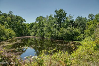 Pond View 1