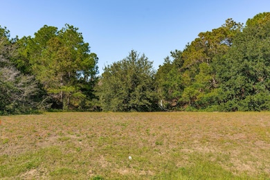 3019 Ion Ave, Sullivans Island, SC 29482 - photo 2