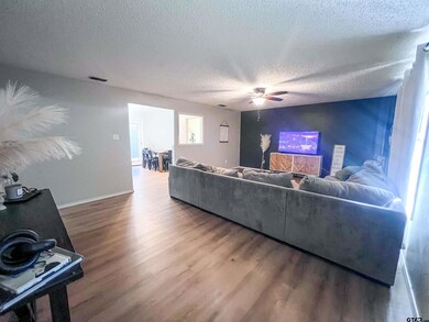 1399 County Road 2400, Mount Pleasant, TX 75455 - photo 6