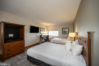 290 Marsh Hill Rd unit 319C, Mc Henry, MD 21541 - photo 4