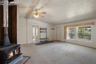 1011 W Bison Creek Trail, Divide, CO 80814 - photo 5