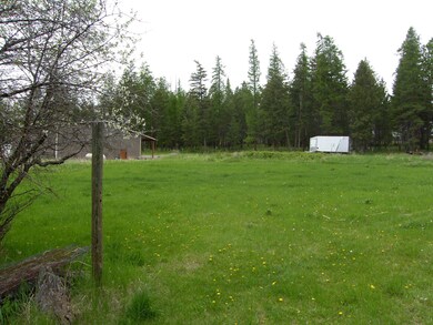 Pasture