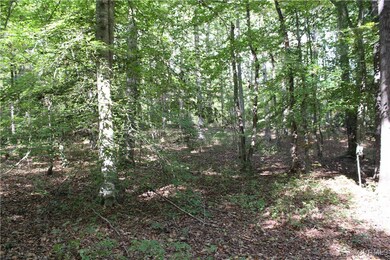 Interior Wooded Lot
