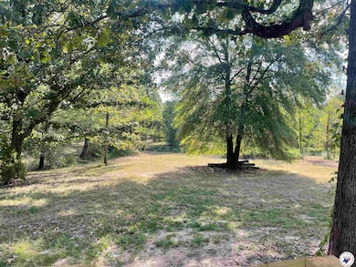 289 Miller County 488, Fouke, AR 71837 - photo 4