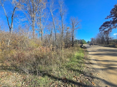 V/L E Cadillac Rd, Merritt, MI 49667 - photo 3