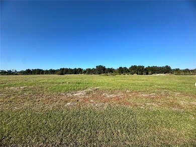 38793 Ranch Gate Blvd, Umatilla, FL 32784 - photo 4