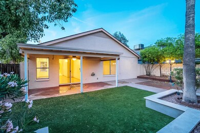 Backyard - Covered patio