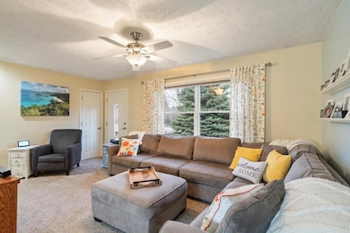 973 S Ellsworth Rd, Petoskey, MI 49770 - photo 3