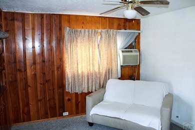 1804 E 11th St, Pueblo, CO 81001 - photo 6