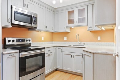 8 Riverside St unit 3-3, Watertown, MA 02472 - photo 5