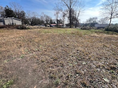 135 Gean Ln, Savannah, TN 38372 - photo 6