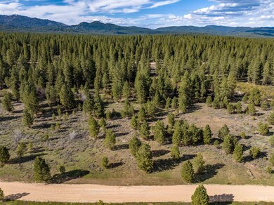 Lot 27 Trail Creek Ct, Placerville, ID 83666 - photo 7