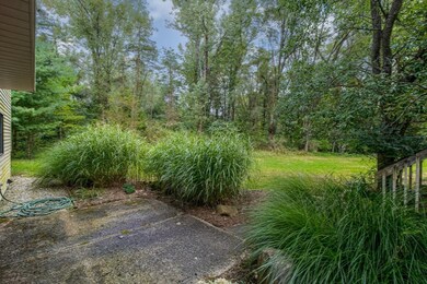 rear yard