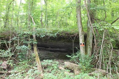 0 Freeman Fielder Rd unit RTC1662111, Stewart, TN 37175 - photo 3