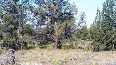 0 NE Lexi Ln unit 201502983, Redmond, OR 97756 - photo 5