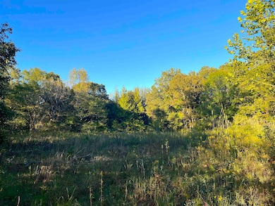 1705 Good Springs Loop, Williston, TN 38076 - photo 5