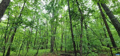 0 Doctors Rd unit 631009, Louisa, VA 23093 - photo 4