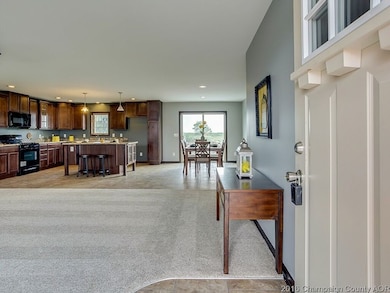 1707 E Horizon Ln unit 1, Urbana, IL 61802 - photo 4