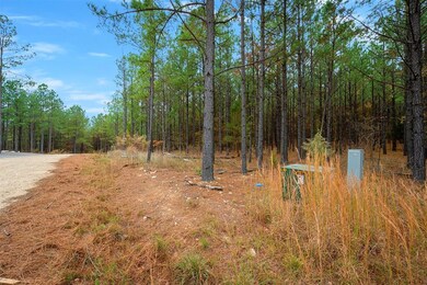 17 Hochacedar Trail, Broken Bow, OK 74728 - photo 7