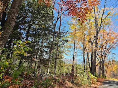 324 Crane Hill Rd, Sugar Hill, NH 03586 - photo 3